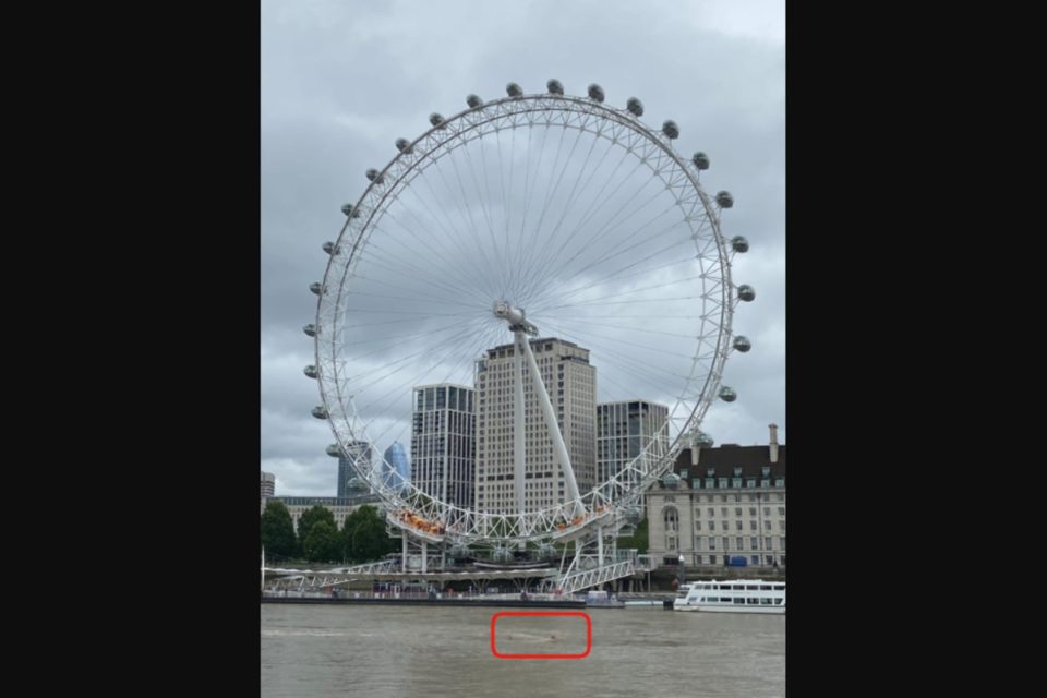 London Eye, Shark fin, River Thames